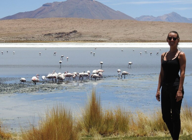 Picture 3 for Activity Uyuni: Uyuni Salt Flats and San Pedro de Atacama 3-Day Tour