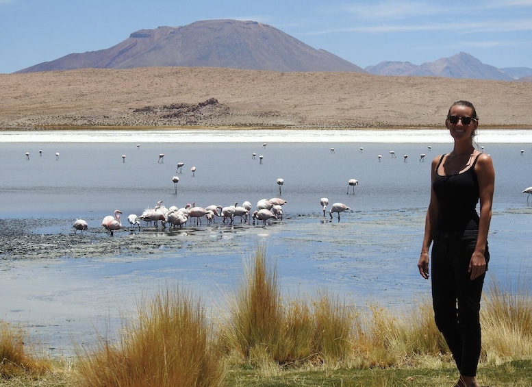 Picture 3 for Activity Uyuni: Uyuni Salt Flats and San Pedro de Atacama 3-Day Tour