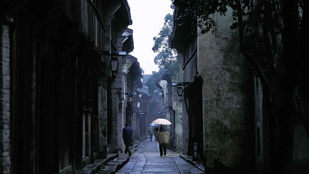 Picture 5 for Activity Delve into Wuzhen Water Town: Private Tour from Shanghai