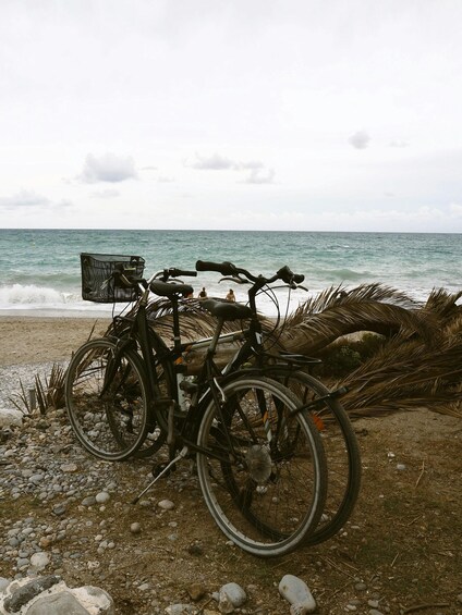 Picture 3 for Activity Solana Beach: Beach Cruiser Full-Day Bike Rental