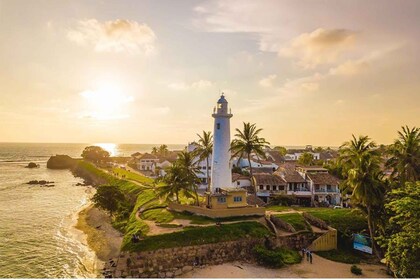 Desde Colombo: tour de safari por el fuerte holandés de Galle y el río Madu