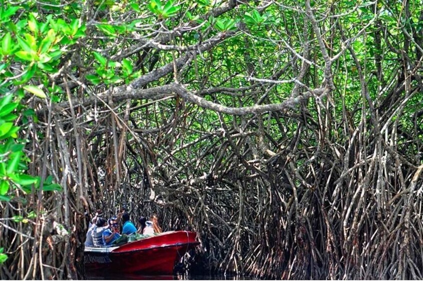 Picture 4 for Activity From Colombo: Galle Dutch Fort & Madu River Safari Tour