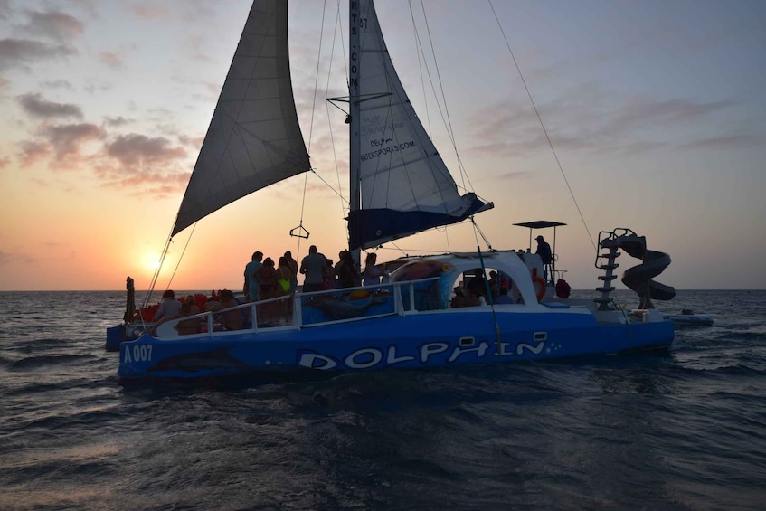 Picture 2 for Activity Noord: Dolphin Sunset Adventure Catamaran Cruise