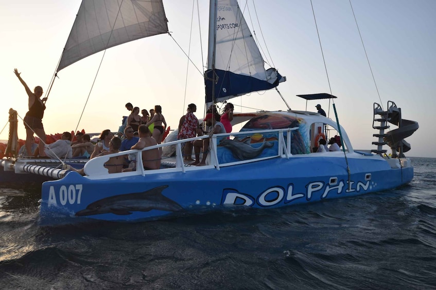 Picture 1 for Activity Noord: Dolphin Sunset Adventure Catamaran Cruise