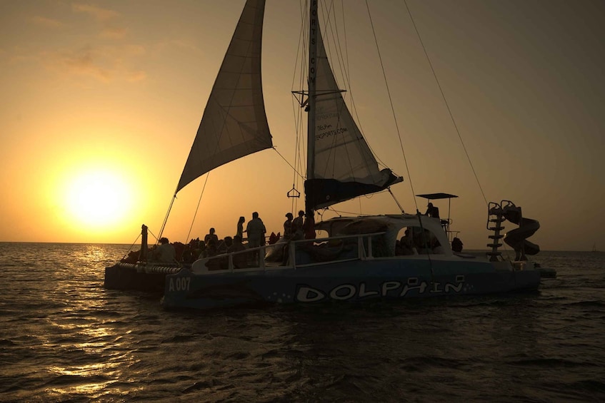 Picture 4 for Activity Noord: Dolphin Sunset Adventure Catamaran Cruise