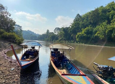 1 Day Trekking (boat trip)