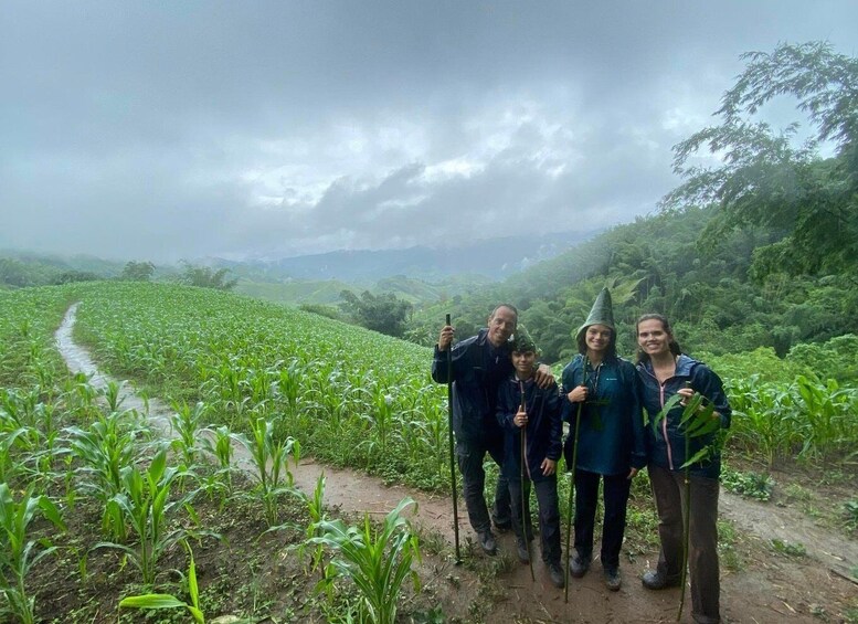 Picture 5 for Activity 1 Day Trekking (boat trip)