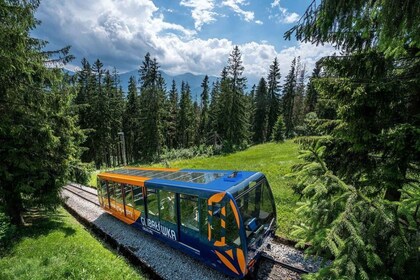 Fra Krakow: Dagstur til Zakopane med smaksprøver og taubane