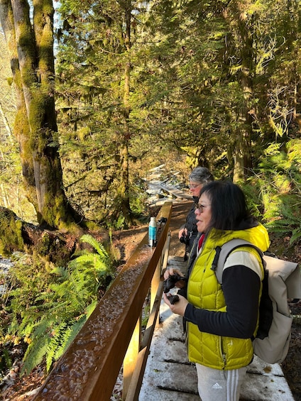 Picture 13 for Activity Vancouver: Rainforest Waterfall Hike and Suspension Bridge
