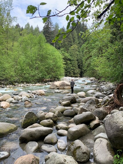 Picture 10 for Activity Vancouver: Rainforest Waterfall Hike and Suspension Bridge