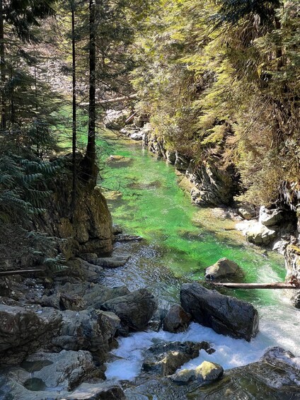 Vancouver: Rainforest Waterfall Hike and Suspension Bridge