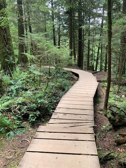 Picture 11 for Activity Vancouver: Rainforest Waterfall Hike and Suspension Bridge