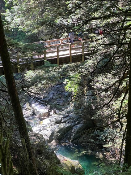 Picture 9 for Activity Vancouver: Rainforest Waterfall Hike and Suspension Bridge