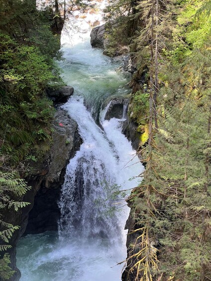 Picture 5 for Activity Vancouver: Rainforest Waterfall Hike and Suspension Bridge