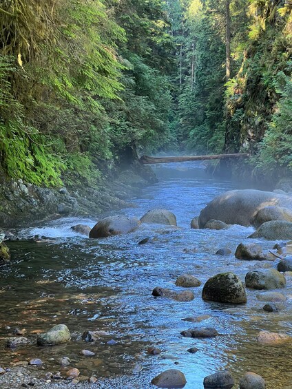 Picture 7 for Activity Vancouver: Rainforest Waterfall Hike and Suspension Bridge