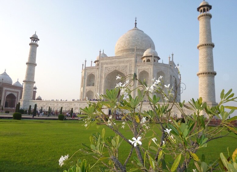 Picture 1 for Activity From Delhi: Taj Mahal Sunrise and Agra Fort Private Tour