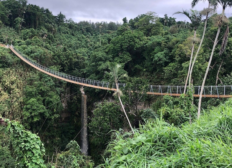 Picture 5 for Activity Vanuatu Jungle Skybridge