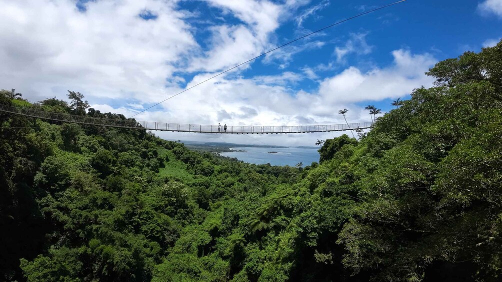 Picture 5 for Activity Vanuatu Jungle Skybridge