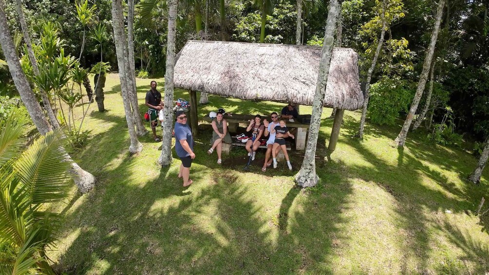 Picture 2 for Activity Vanuatu Jungle Skybridge