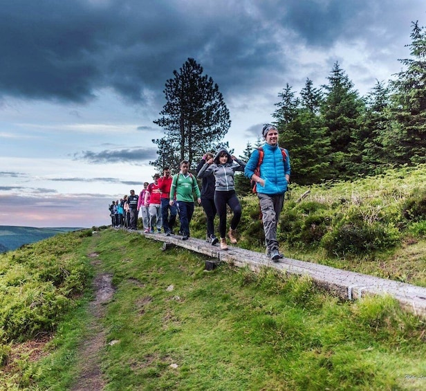 Picture 2 for Activity Wicklow: Glendalough Guided Night Hike and History Tour