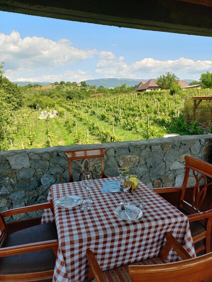 Picture 21 for Activity Ohrid - Wine Tasting Experience at S&S Winery
