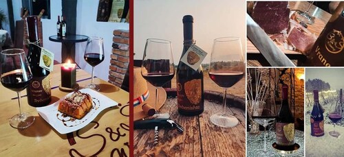 Ohrid - Wine Tasting Experience at S&S Winery