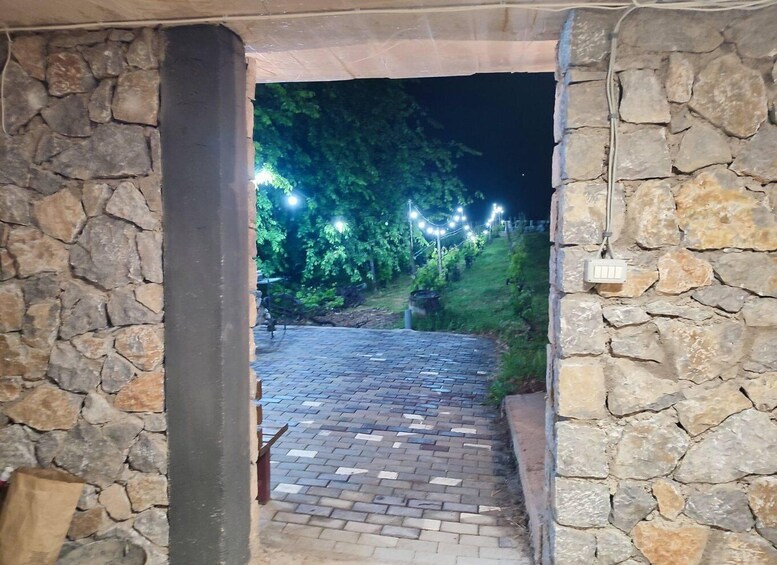 Picture 10 for Activity Ohrid - Wine Tasting Experience at S&S Winery