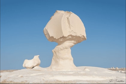 Desde El Cairo: recorrido por el oasis de Bahariya y el desierto blanco y n...