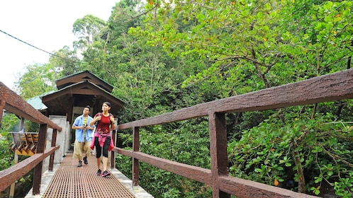 Private Penang National Park Morning Trekking