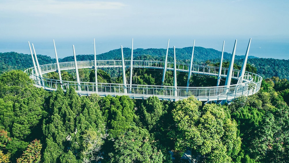 Private Penang Hill Habitat Nature Walk with Lunch