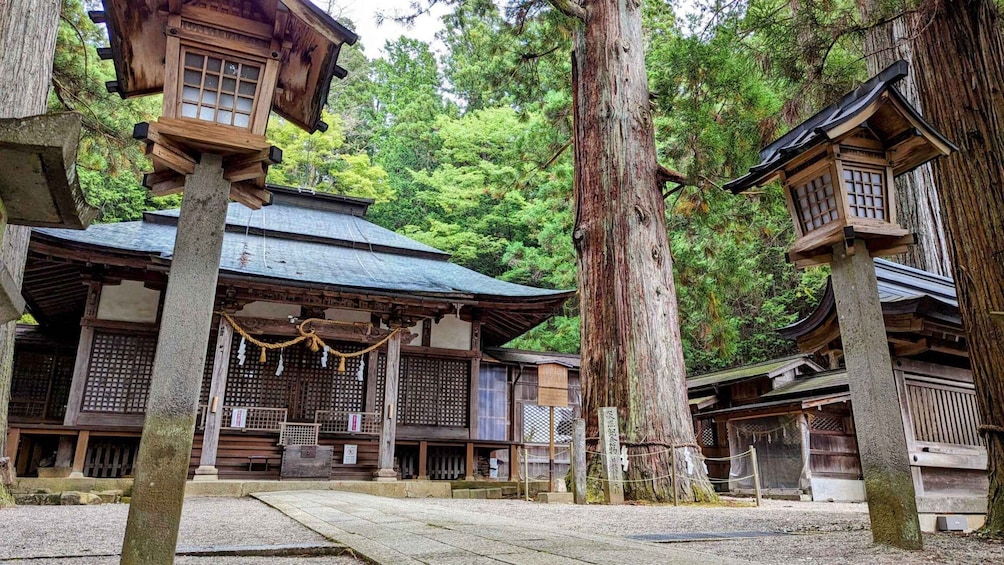 Picture 3 for Activity From Takayama: Immerse in Takayama's Rich History and Temple