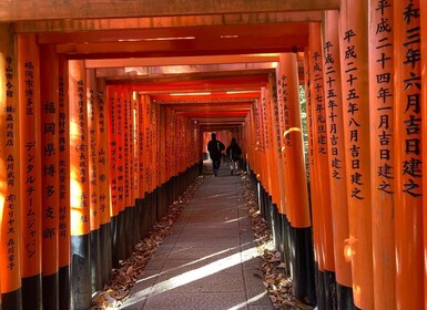 Kyoto: Must-see spots to visit, Kyoto One Day Private Tour