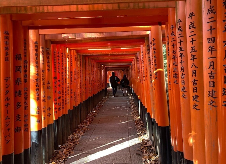 Kyoto: The Best of Kyoto - Half Day Private Tour