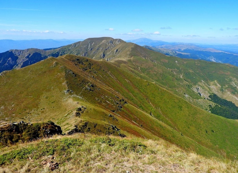 Plovdiv: Central Balkan National Park Guided Hike