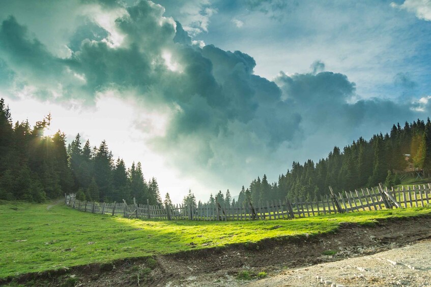 Picture 1 for Activity Plovdiv: Central Balkan National Park Guided Hike