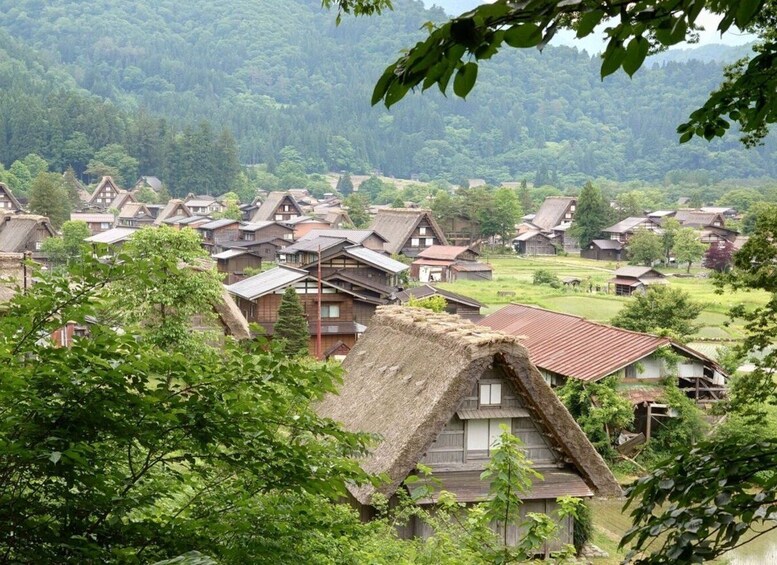 Picture 1 for Activity [FROM TAKAYAMA] Private Takayama & Shirakawa-go