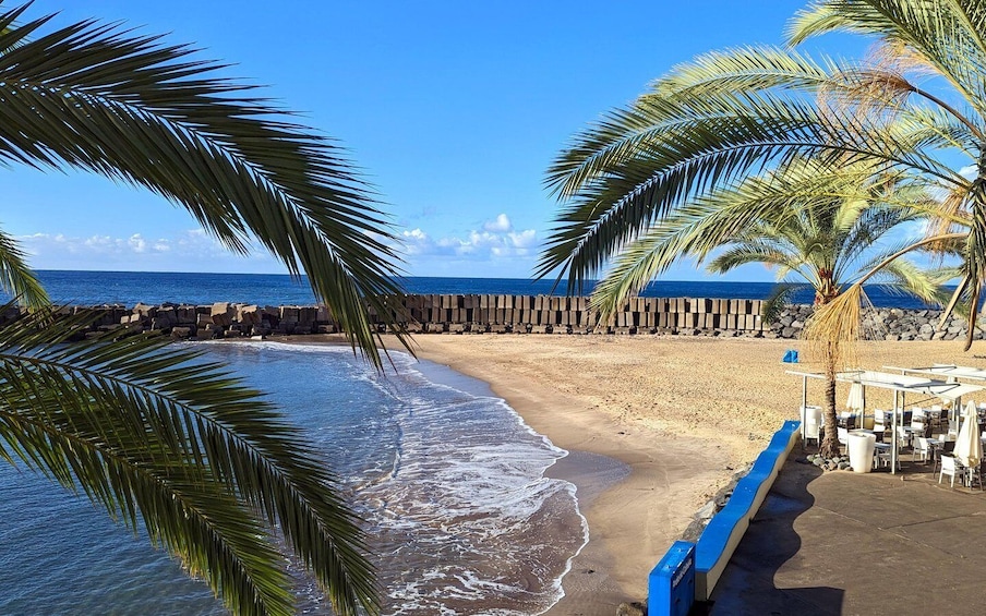 Picture 2 for Activity Southwest Madeira: Half-Day Cabriolet Jeep Adventure