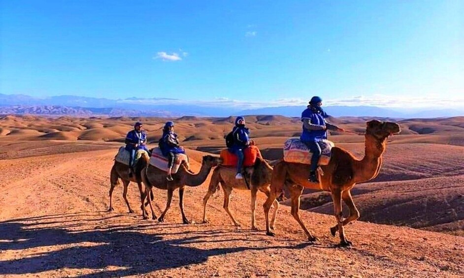 Picture 16 for Activity From Marrakech: Agafay Desert Sunset Dinner with Live Show