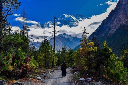 Annapurna Circuit Trek - 14 วัน