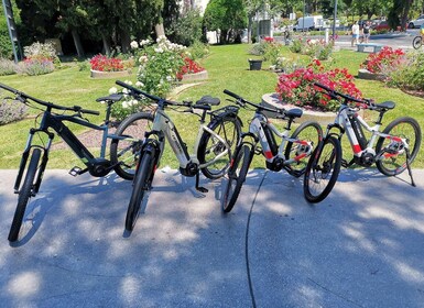 Piran: e-bike Slovenien, cykeludlejning