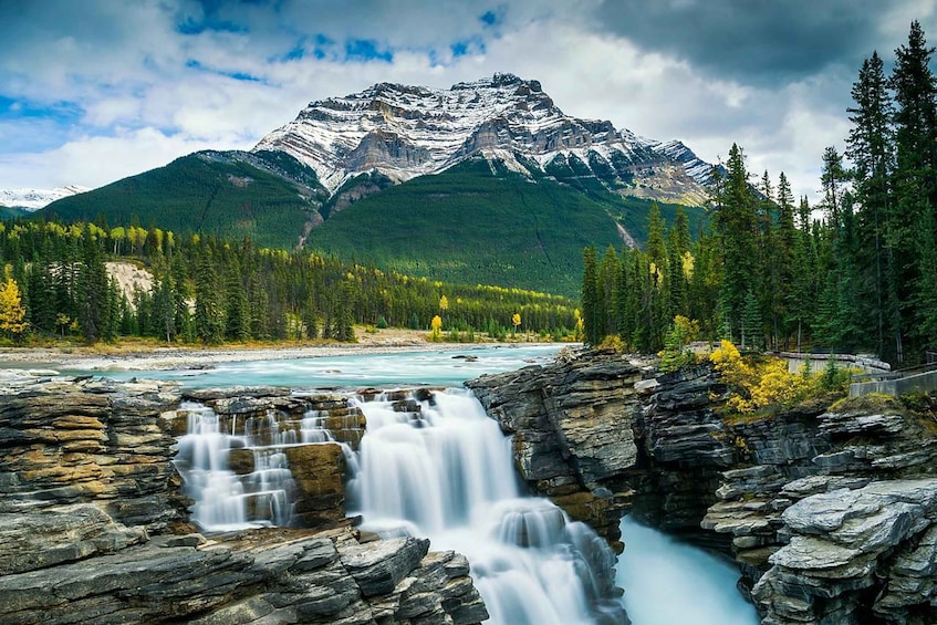 Picture 2 for Activity Banff: Lake Louise, Moraine Lake, and Emerald Lake Tour