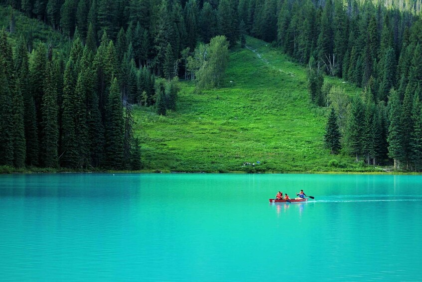 Picture 4 for Activity Banff: Lake Louise, Moraine Lake, and Emerald Lake Tour