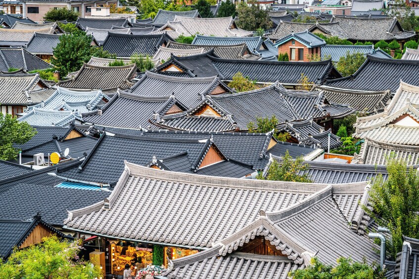 Picture 13 for Activity Seoul/Busan: Jeonju Hanok village with Hanbok Experience