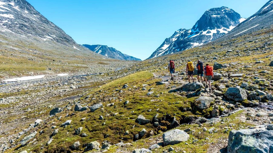 From Beitostolen: Svartdalen – a Day in Jotunheimen Tour