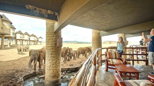 3 Hari Taman Nasional Tsavo Timur dan Suaka Bukit Taita