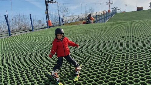 Warsaw: ski lesson near city center on an artificial slope