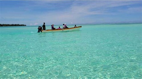 Bohol Island Hopping Tour (Private Tour)