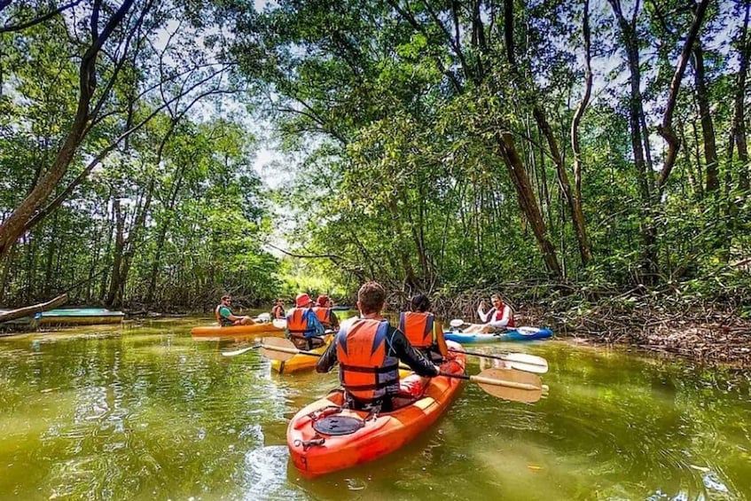 Picture 18 for Activity Boca Chica : Los Haitises Guided Hike and Kayaking