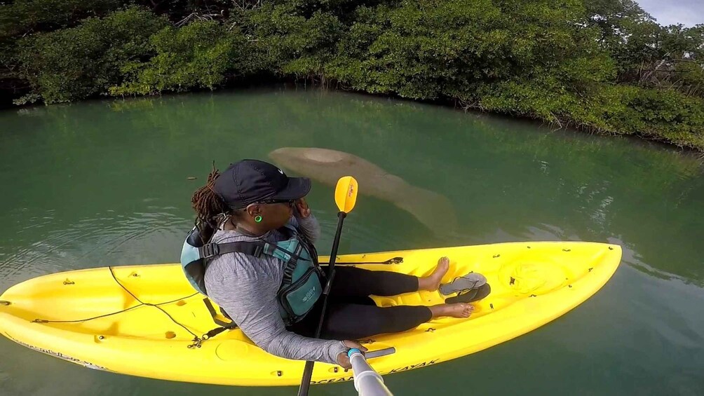 Picture 15 for Activity Boca Chica : Los Haitises Guided Hike and Kayaking