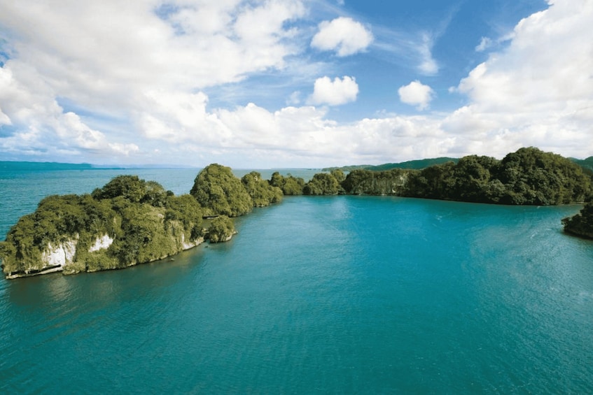 Boca Chica : Los Haitises Guided Hike and Kayaking